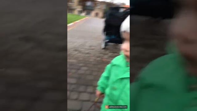 Двойняшки, лужи и каштаны.#twins #двойняшки смотреть онлайн