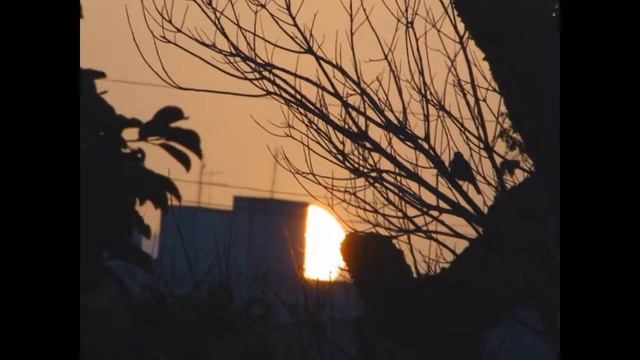 Por do sol sony hx1 смотреть онлайн