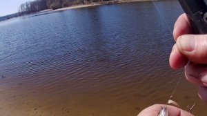 Ловля уклейки весной ? Красивое место ? Солнечный день ? Бешенный клёв