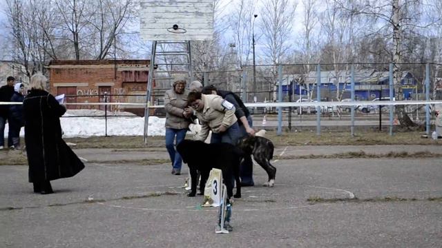 "Кубок Северного Подмосковья-2013", моно САО смотреть онлайн