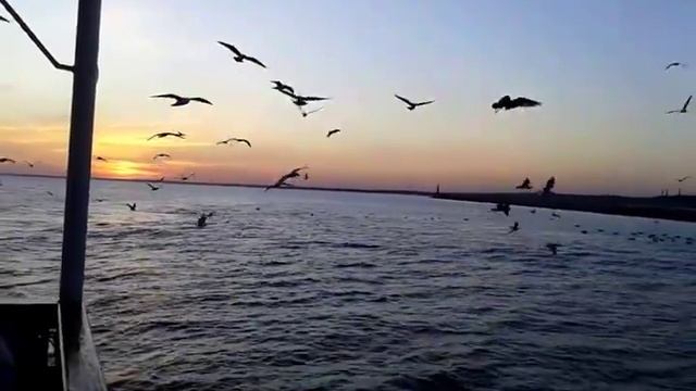 Прогулка на катере 22 августа 2015 год в Бердянске - видео обзор смотреть онлайн