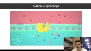 Цитология. Строение клетки, органелл, их функции
