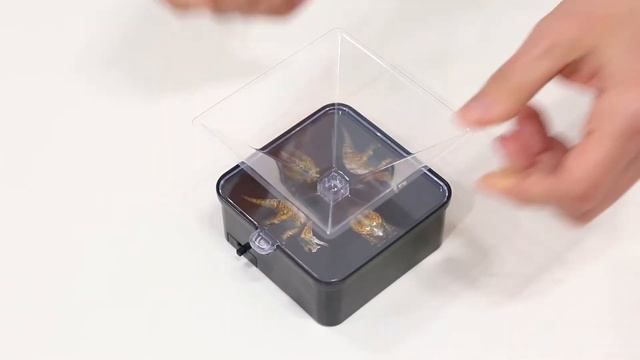 Делаем проектор голограмм смотреть онлайн