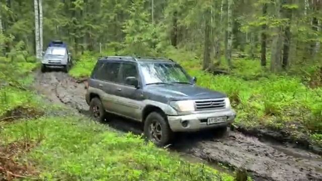 Два пинина в грязи( pinin in the mud) смотреть онлайн