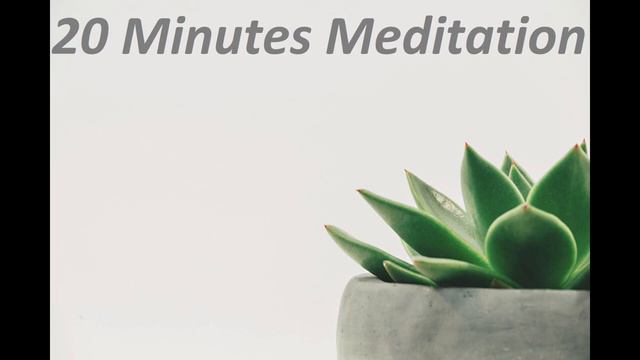 Green Flower, 20 Minutes Yoga Meditation Music, Soothing Relaxing Mind Music, Spa Music, Study Musi смотреть онлайн