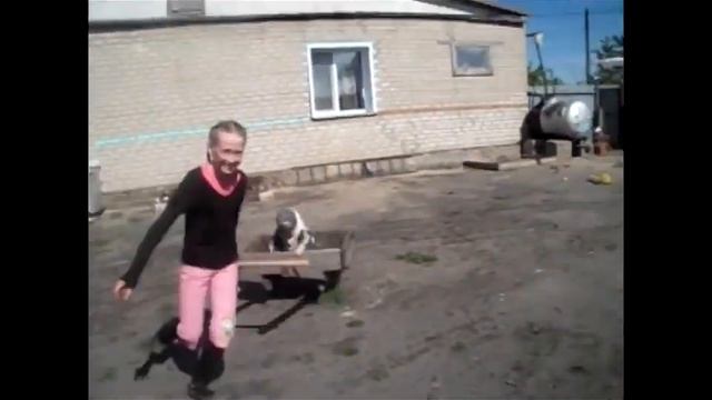 Я маленькая лошадка!Ржака! смотреть онлайн