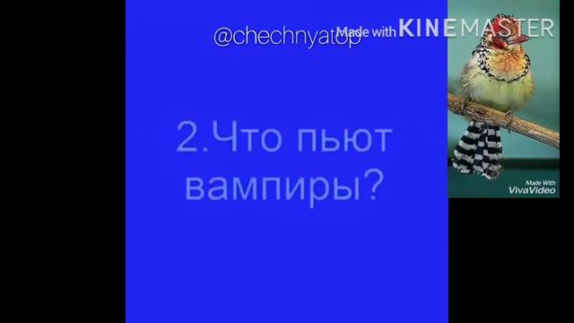 Тест на внимание Никто не смог везде правильно ответить смотреть онлайн
