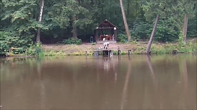 Поимки карпа и на фидер, и на поплавочную снасть. смотреть онлайн