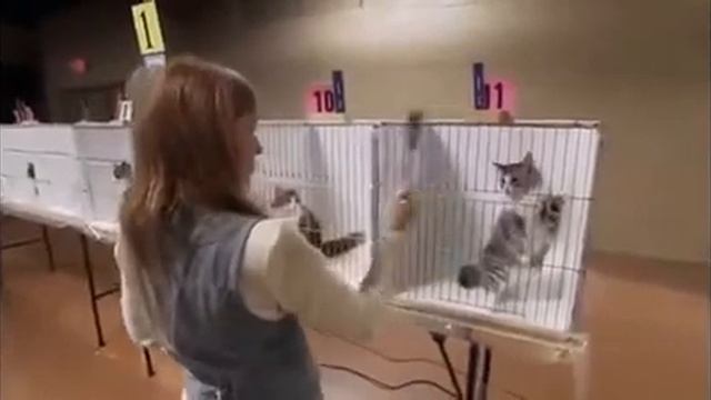 Норвежская лесная смотреть онлайн