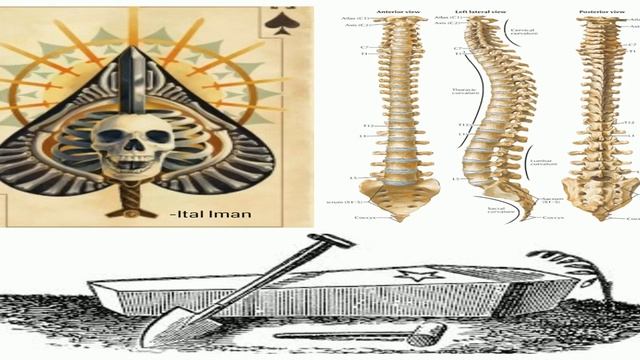 The Armageddon discourse -Esoteric teachings of Ital Iman смотреть онлайн