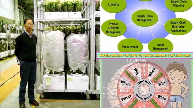 lanna nobile 1993-2015 TAIWAN ORCHIDS BIOLOGY TO MOBILITY IN REUNION ISLAND FOR INVENTION#GDP100PER смотреть онлайн