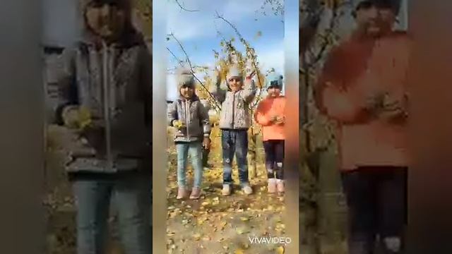 Листик листик листопад ??????????? Осень 2021 г. смотреть онлайн