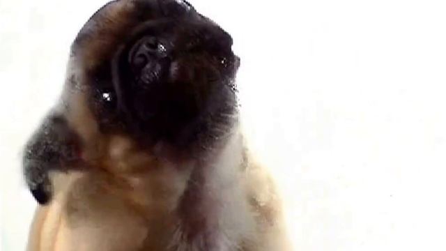 Чистка монитора