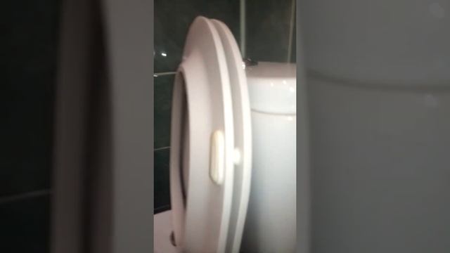 Унитаз церсанит год эксплуатации всё печально.