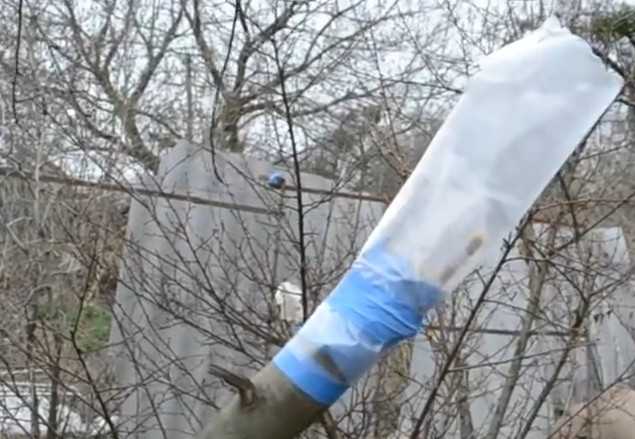 Самая простая прививка фруктовых деревьев. смотреть онлайн