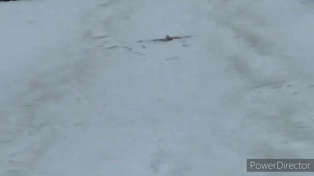 За нами следит таинственная женщина ?? смотреть онлайн