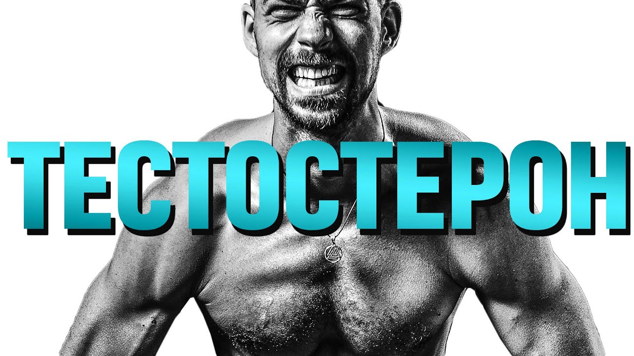 14 ПУНКТОВ увеличения тестостерона | КАК повысить ТЕСТОСТЕРОН в домашних условиях естественным путем смотреть онлайн