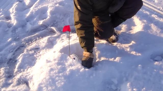 щучка на жерлицу январь 2014г смотреть онлайн