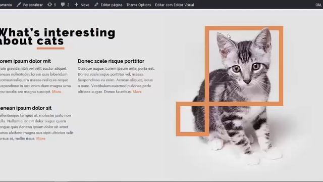 Betheme - Editando um template BeTheme - BePets 1/4 смотреть онлайн