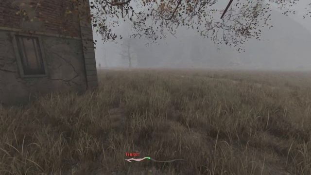 Picking flowers in the steppe - Let's Play Pathologic 2 #16 смотреть онлайн