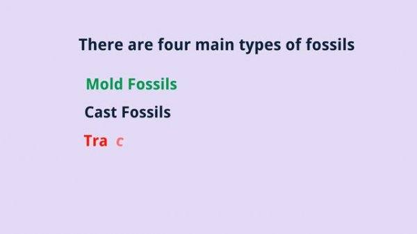 What is a Fossil | Types of Fossils | How are Fossils formed | Educational video for Kids