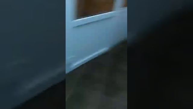 видео офис МММ город Егорьевск смотреть онлайн