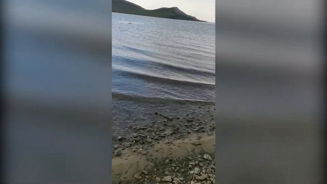 Подвалье. Неизданное смотреть онлайн