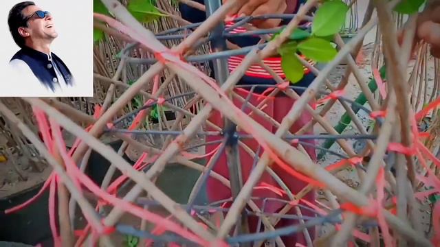 Panda ficus design in Sorahi complete (Sorahi banana Mukammal btaya gaya) смотреть онлайн