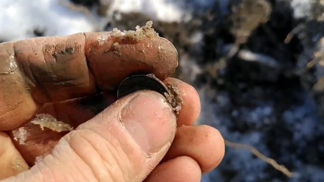 Весенние прогулки с металлоискателем Deus Lite.
