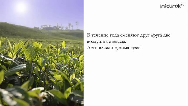 Климат Африки | География 7 класс #22 | Инфоурок смотреть онлайн