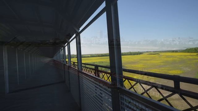 14 Things to do in Memphis, Tennessee смотреть онлайн