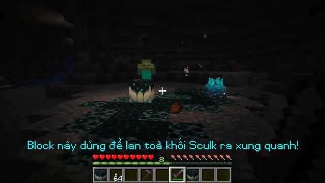 Danh Sách Những Cập Nhật Chính Trong Minecraft 1.19 Sắp Tới - The Wild Update смотреть онлайн