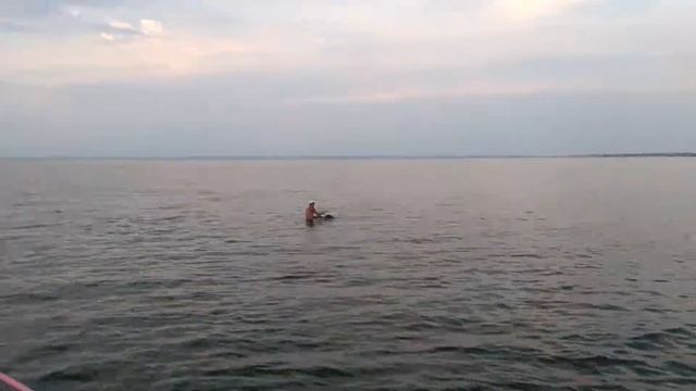 Затока. Спасение бакланов 30 июля 2018 смотреть онлайн