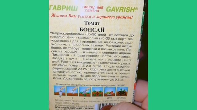 Помидоры и огурцы дома на подоконнике, на балконе, семена для выращивания, бзор смотреть онлайн