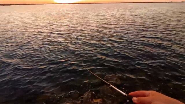 Ащикольская раздача на закате! Рыбалка с берега. смотреть онлайн