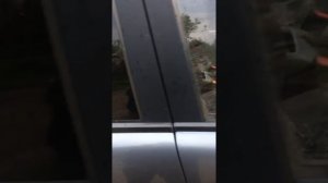 Шевроле ланос нет питания на эбу, лечение!!!