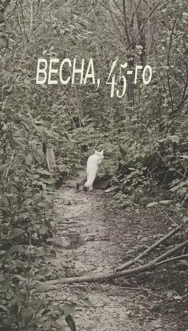 😻Весна 45 го 14.08.2024. Любимые фильмы СССР.