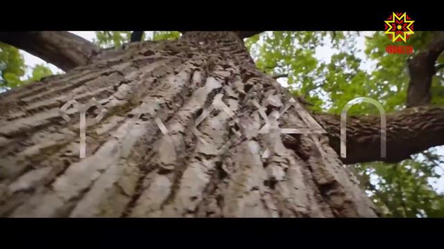 #100летчувашии Олег Николаев смотреть онлайн