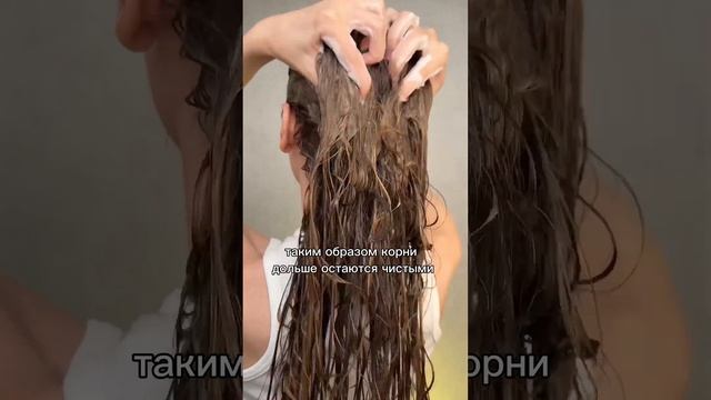 От этого шампуня сыпались волосы?расческа была вся в волосах? пока не посоветовали купить аптечный