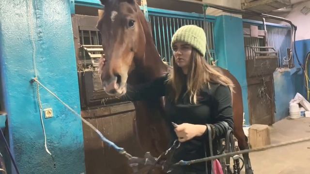 Как Собрать Рысака На Тренировку смотреть онлайн