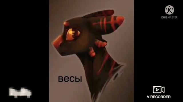 Какая ты фурия по знаку зодиака💞(4 часть) смотреть онлайн