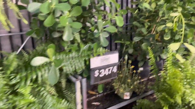 #353 США-ВЛОГ-ЗАКУПКА в магазине Walmart - За кирпичами и не только-Скоро в школу-Семейный влог смотреть онлайн