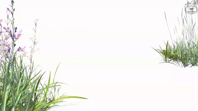 【猫用動画カエル】GAME FOR CATS - SIMPLE - FROG 1 hour смотреть онлайн