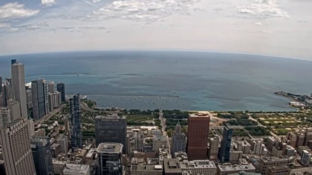 Можно ли держать дома денежное дерево – приметы смотреть онлайн