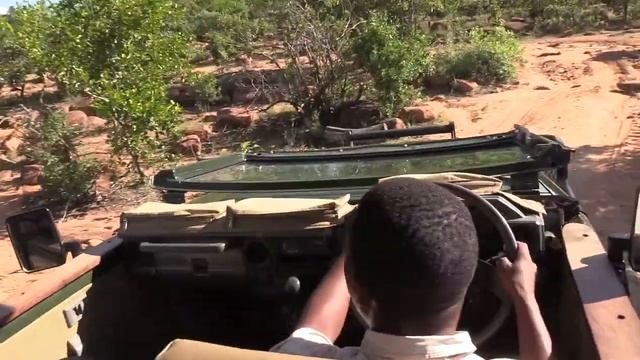 Waterberg Game Park - Game Drive - Limpopo Provice - South Africa смотреть онлайн