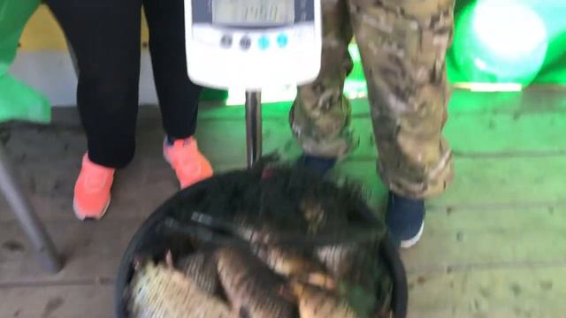 Ловля карпа в Подмосковье. смотреть онлайн