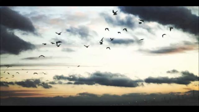 SADE AMS - SONRISAS FALSAS смотреть онлайн
