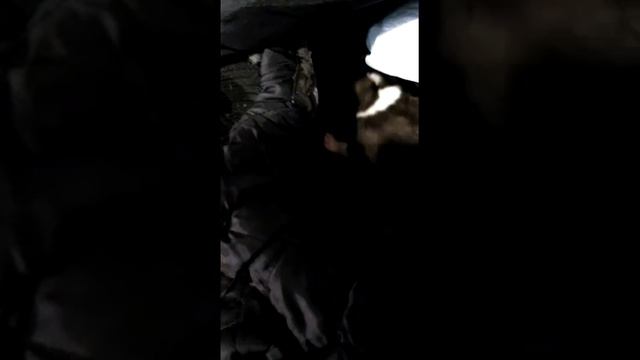 маленький щенок алабай смотреть онлайн