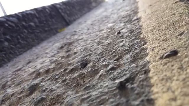 2006 JDM Subaru Legacy GT Spec B - 6 Speed - Engine Noise смотреть онлайн