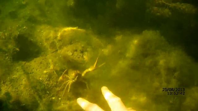 Тест камеры AEE SD21 река Айдар смотреть онлайн